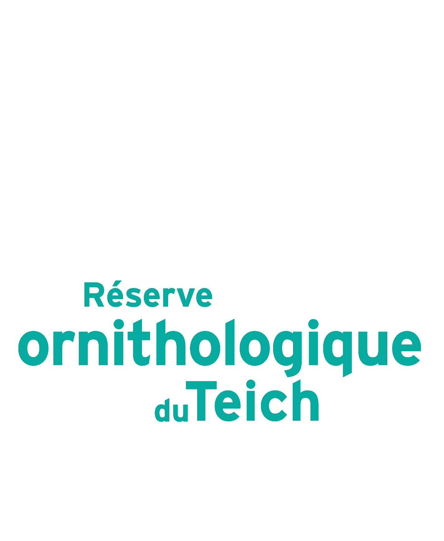 Ornithological Reserve of Teich