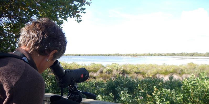 Actualités Arcachon