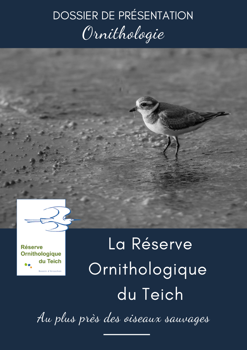 Dossier de présentation “Ornithologie” (Français)