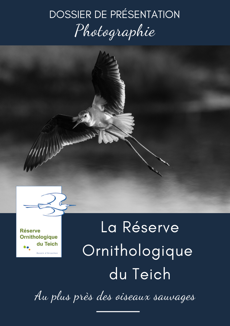 Dossier de présentation “Photographie” (Français)