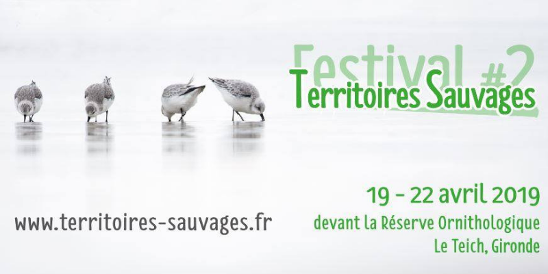 Actualités Arcachon
