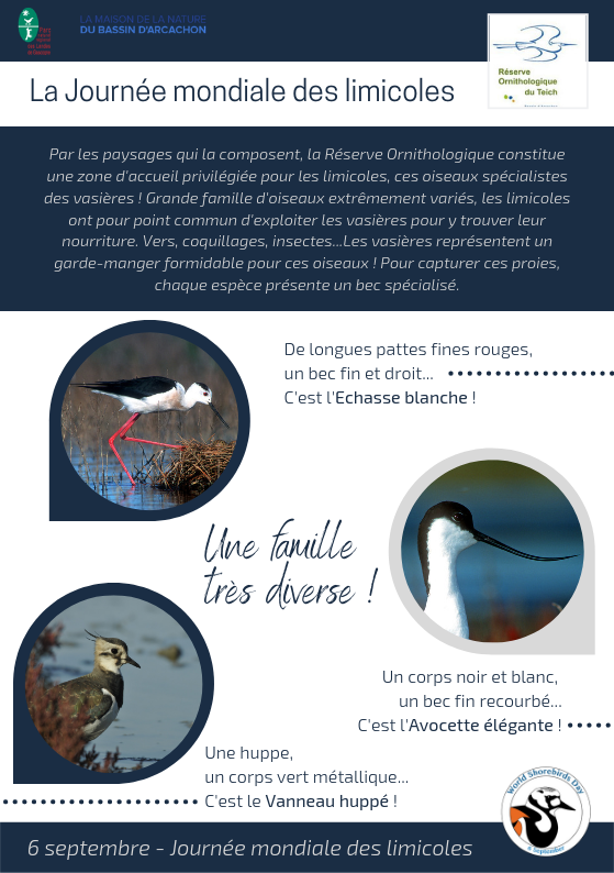 Flyer “La Journée mondiale des limicoles”