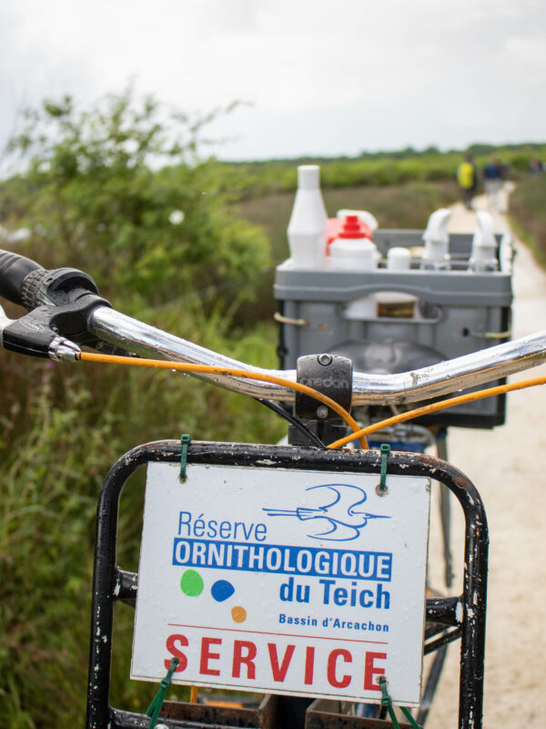 L'équipe de la Réserve