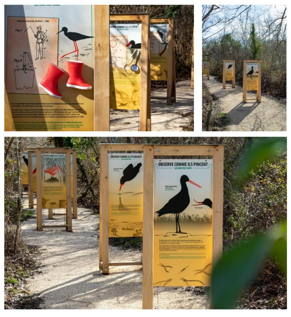 Un nouveau sentier de découverte pour la Réserve Ornithologique du