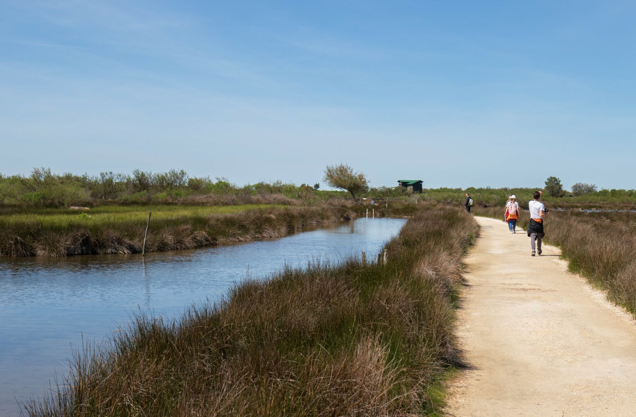 Découvrir les services de la Réserve Ornithologique du Teich