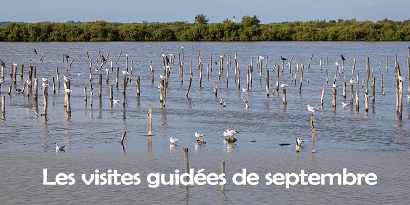 Actualités Arcachon