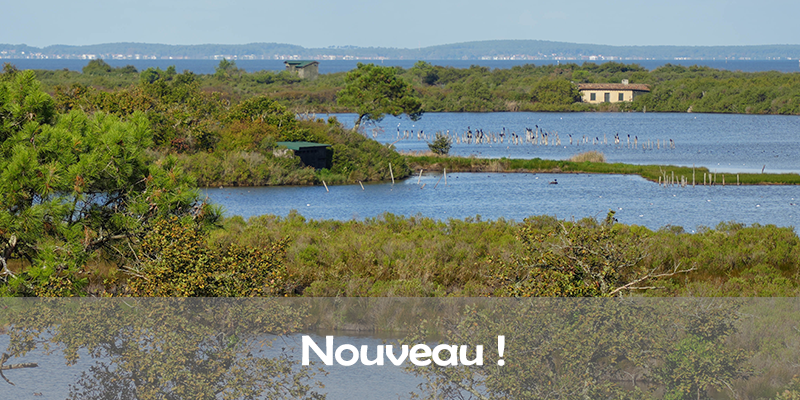 Actualités Arcachon