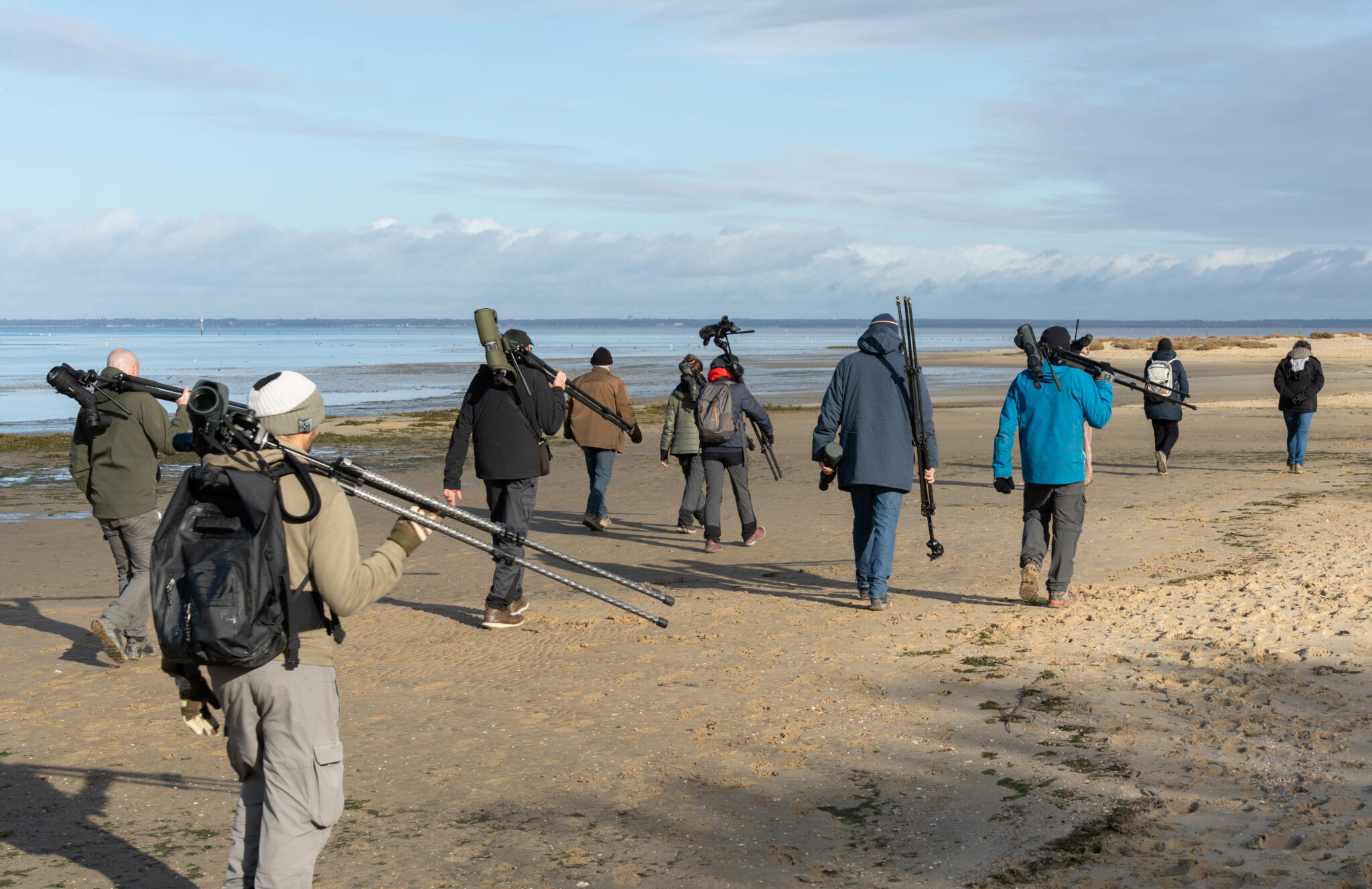 Formations Réserve Ornithologique du Teich