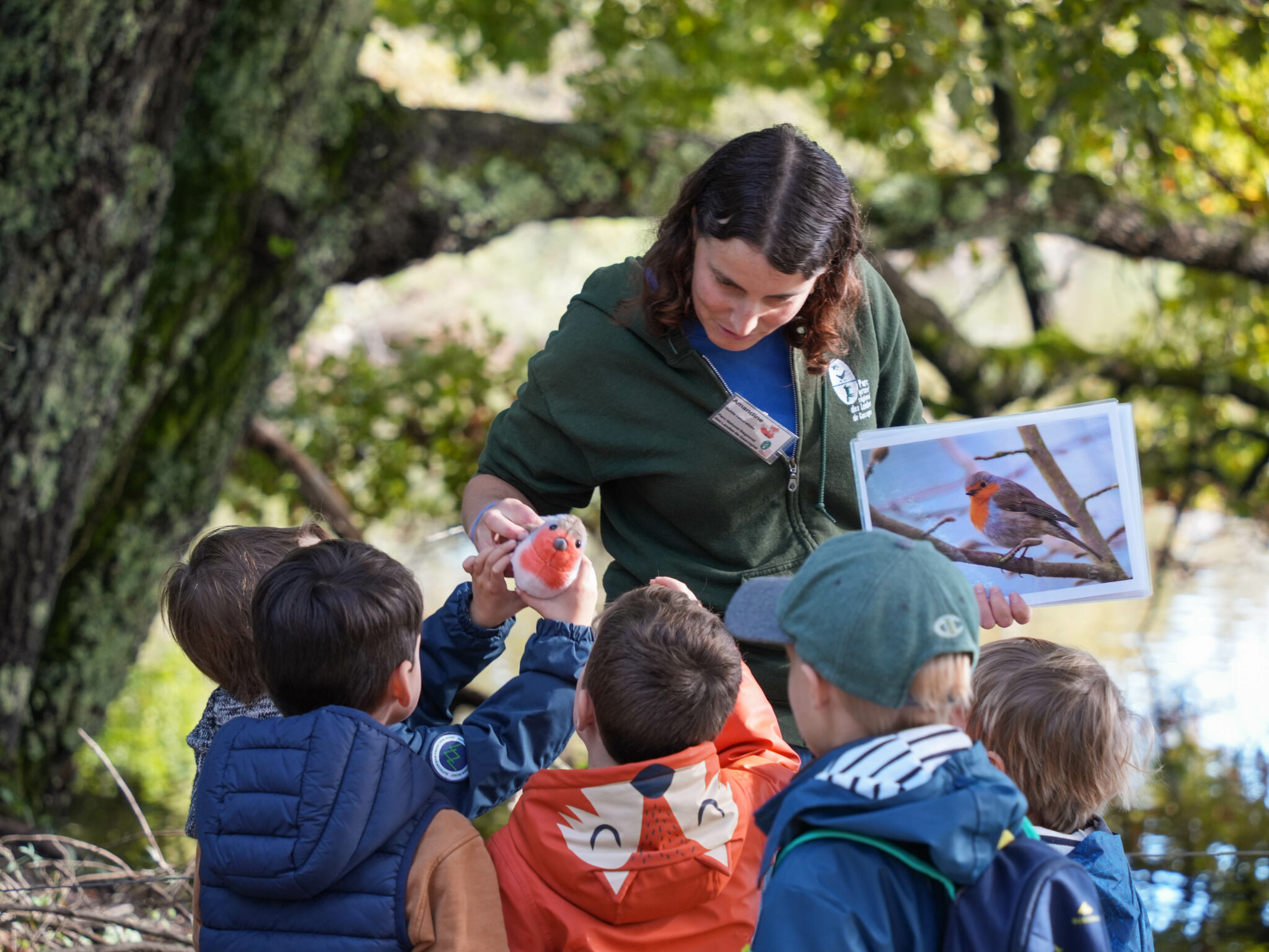 Schools and business groups Ornithological Reserve of Teich