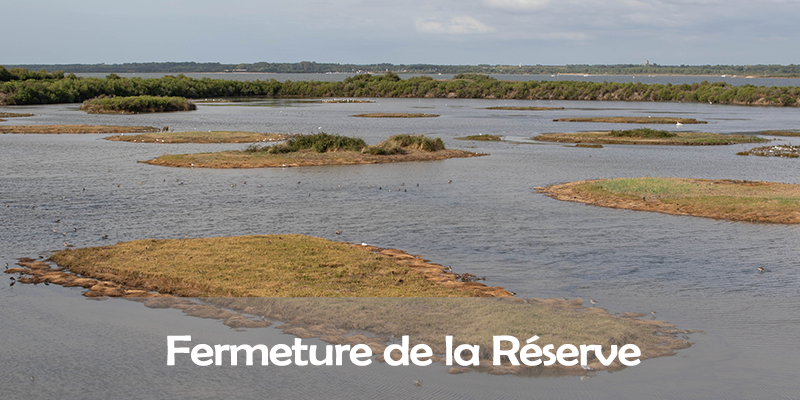 Actualités Arcachon