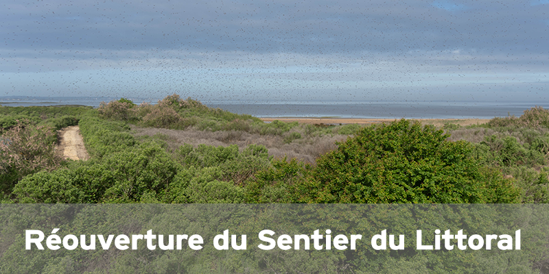 Réouverture du Sentier du littoral