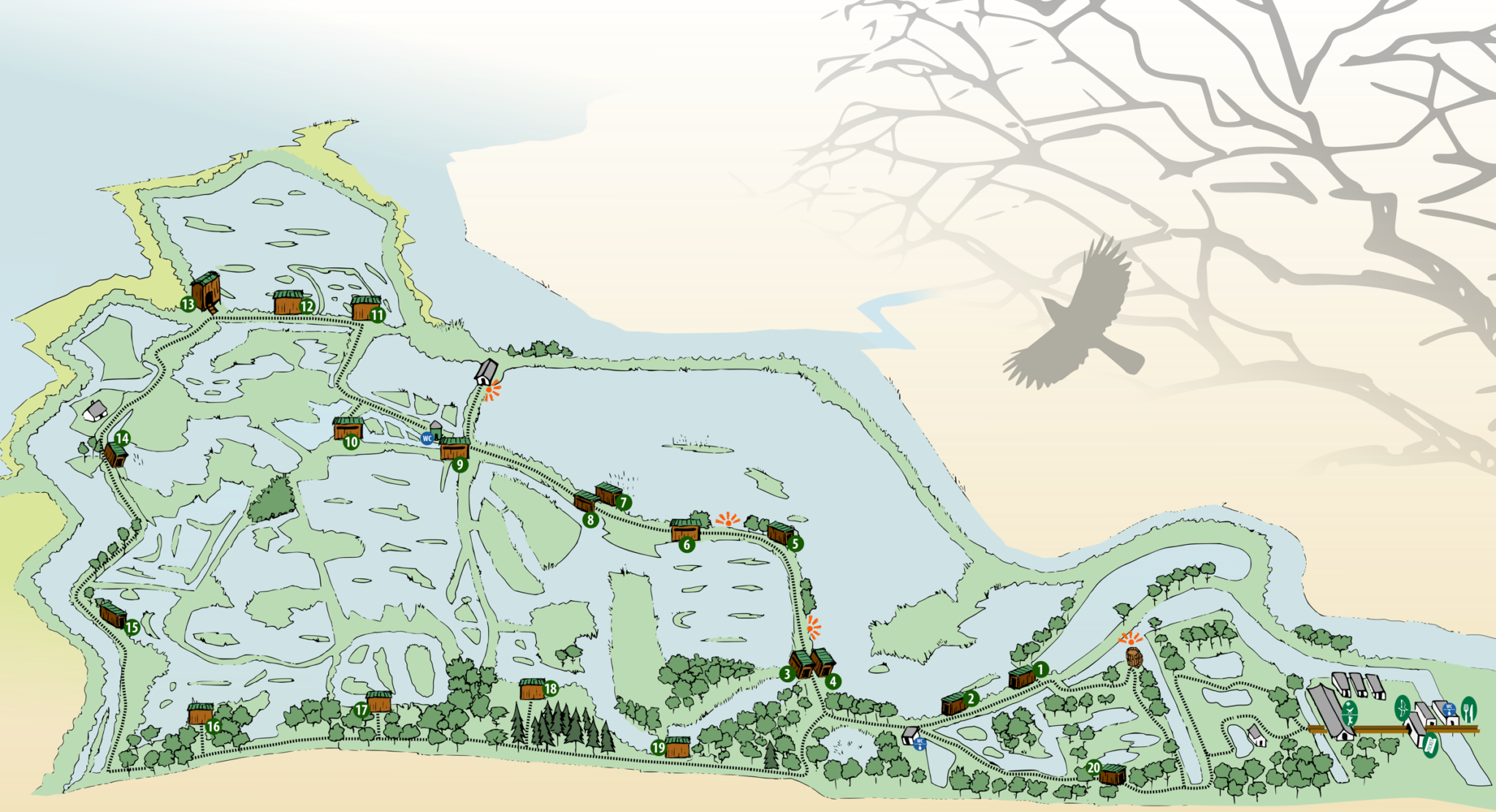 Découvrir les Les sentiers de la Réserve Ornithologique du Teich