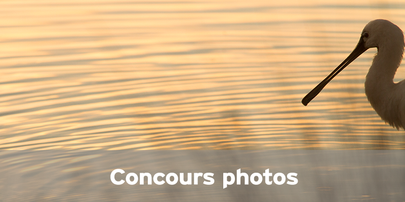 Concours photos 2024