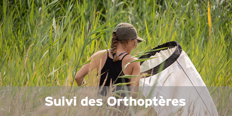 Actualités Arcachon