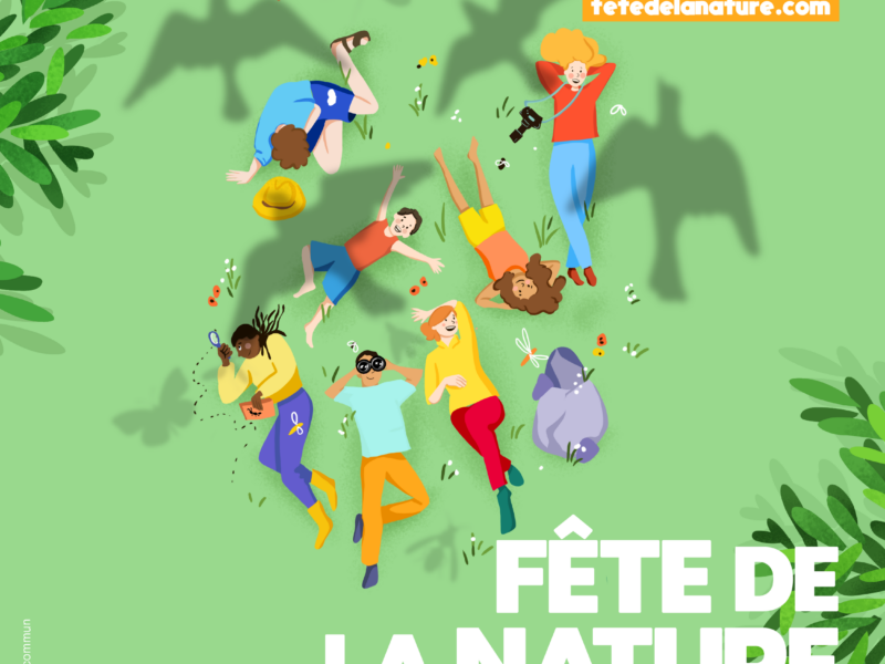 Actualités Arcachon