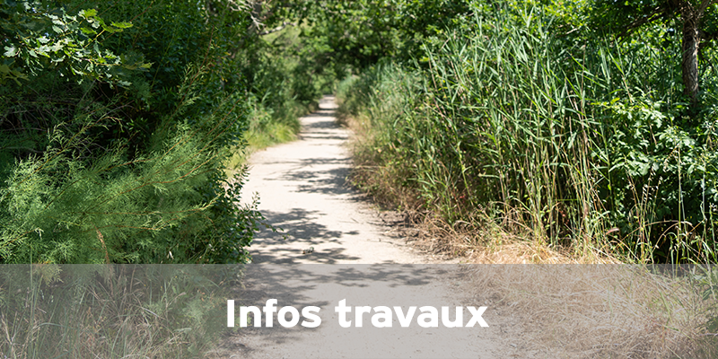 Actualités Arcachon