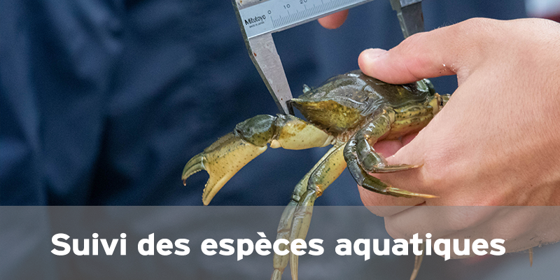 Actualités Arcachon