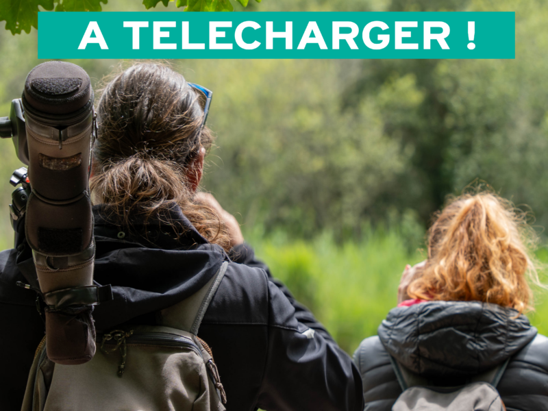 Actualités Arcachon