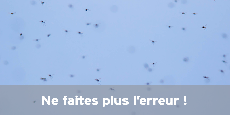 Actualités Arcachon