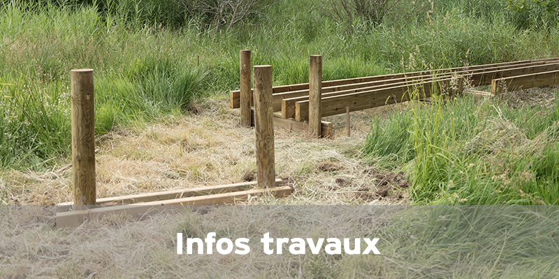 Actualités Arcachon