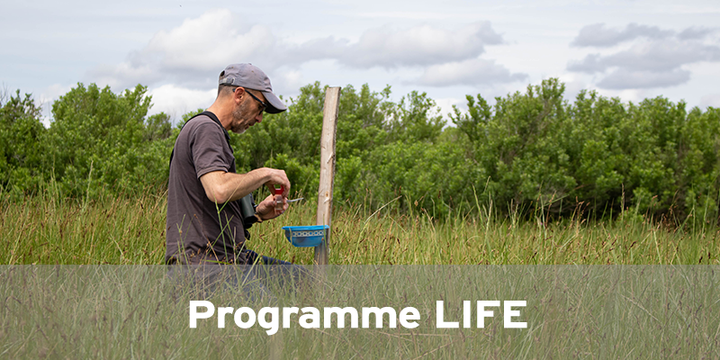 Actualités Arcachon