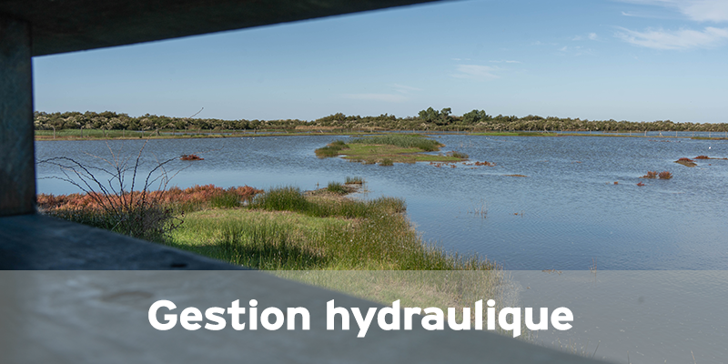 Actualités Arcachon