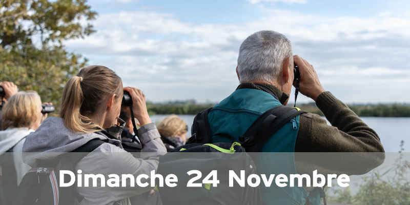 Actualités Arcachon