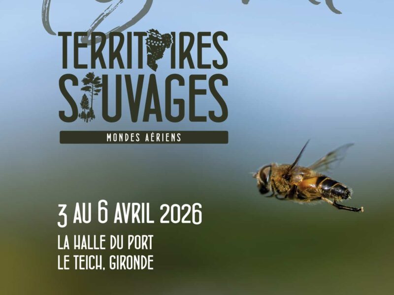 Actualités Arcachon