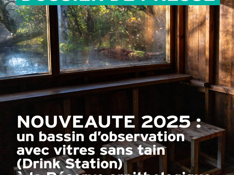 Actualités Arcachon