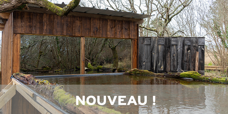 Actualités Arcachon