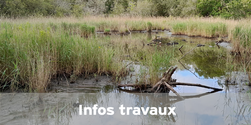 Actualités Arcachon