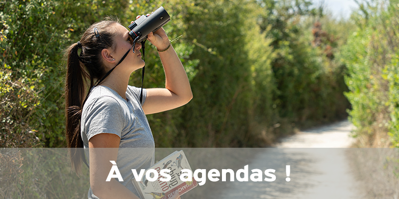 Actualités Arcachon