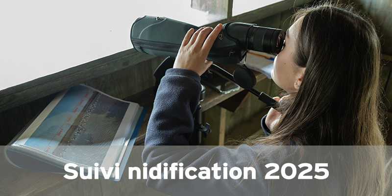 Actualités Arcachon