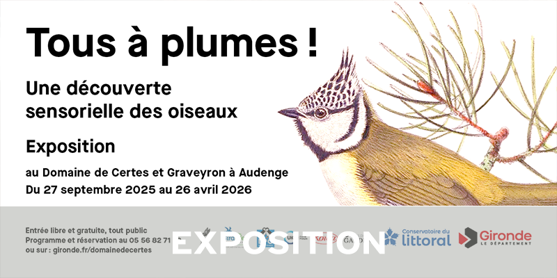 Actualités Arcachon