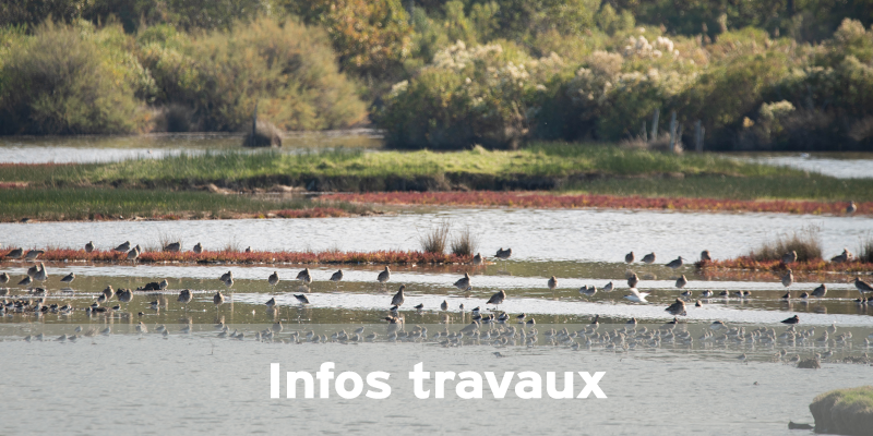 Actualités Arcachon