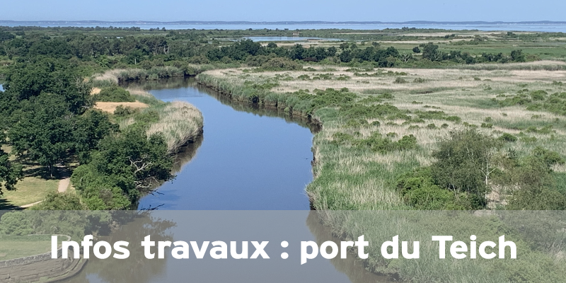 Actualités Arcachon