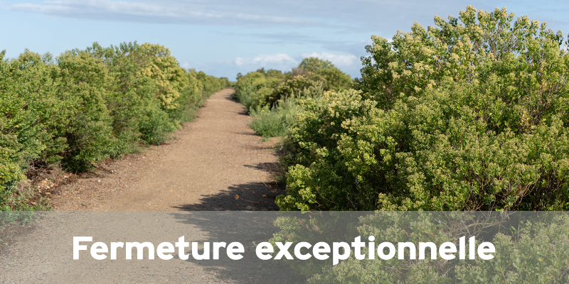 Mardi 18 novembre : fermeture exceptionnelle de 10h à 14h