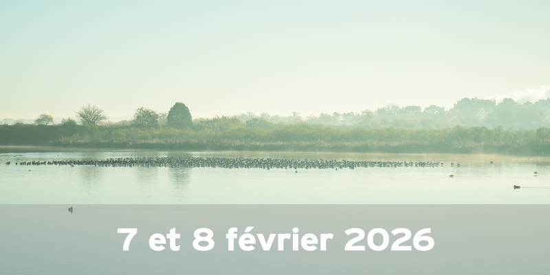 Actualités Arcachon