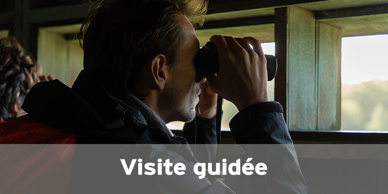 Visites guidées