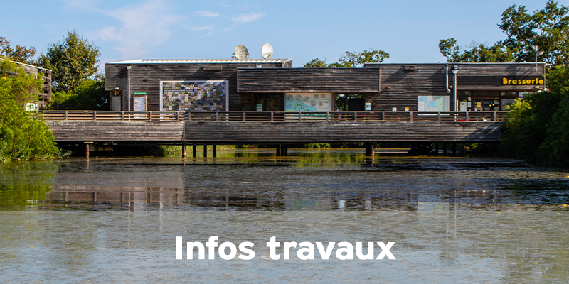 Actualités Arcachon