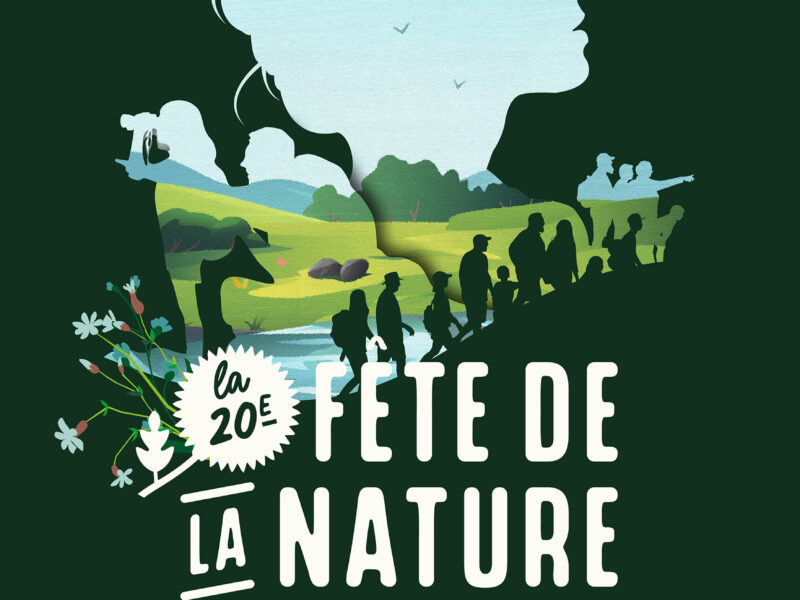Actualités Arcachon