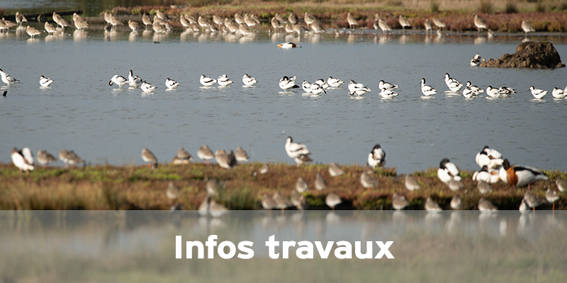 Actualités Arcachon