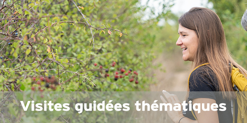 Un nouveau regard sur la Réserve