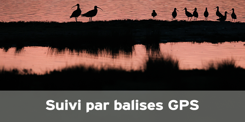 Actualités Arcachon