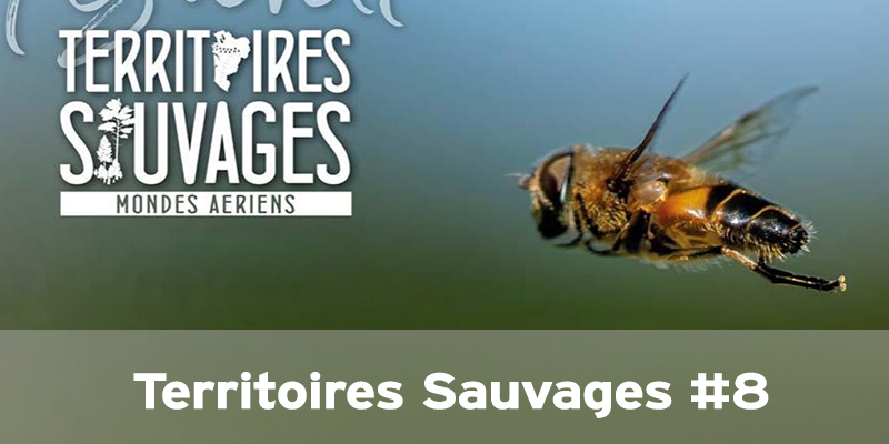 Actualités Arcachon