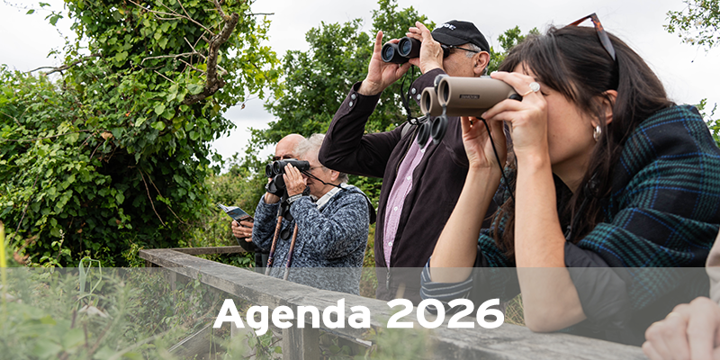 AGENDA 2026