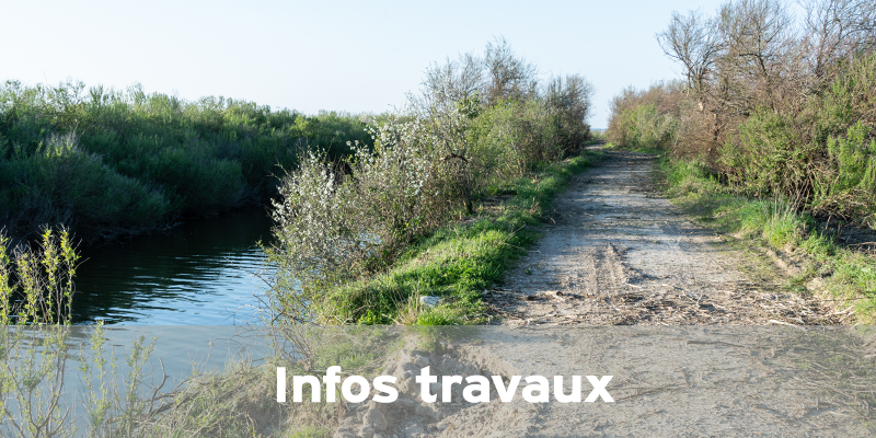 Actualités Arcachon