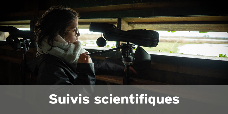 Actualités Arcachon