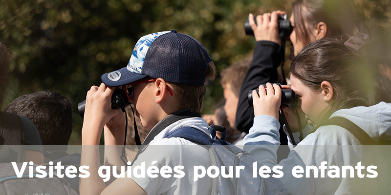 Actualités Arcachon