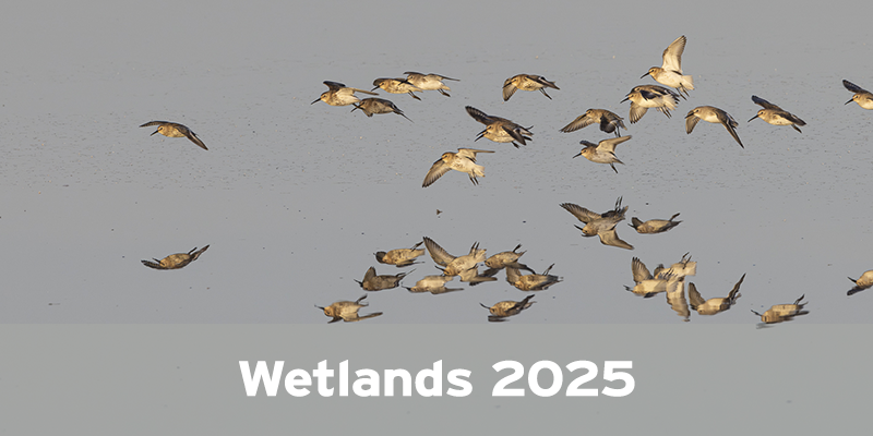 Actualités Arcachon